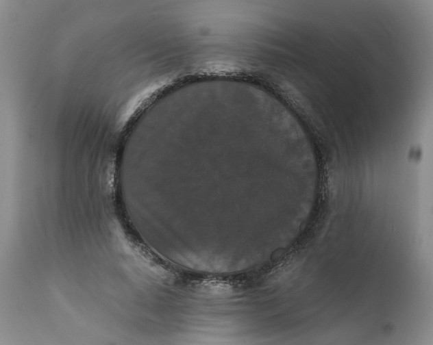 X0000110690640200906261344