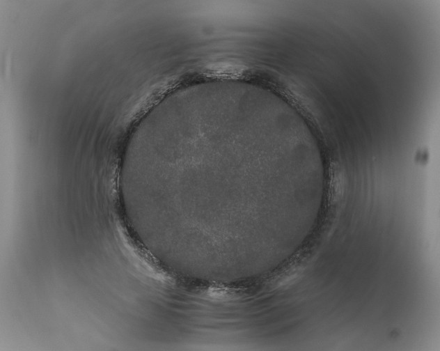 X0000110690641200906261344