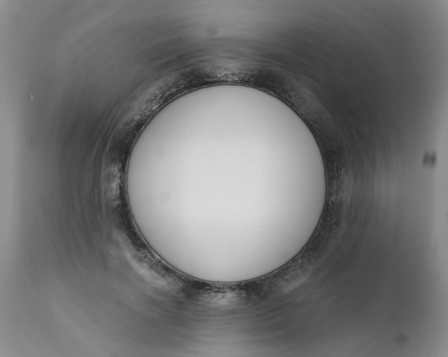 X0000110690646200906261345