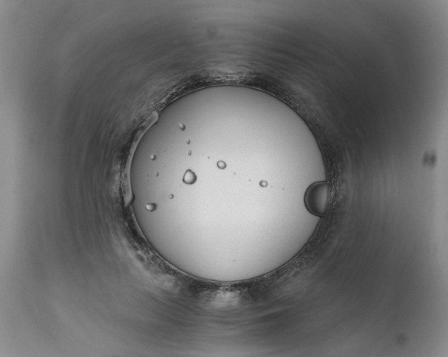 X0000110690647200906261345