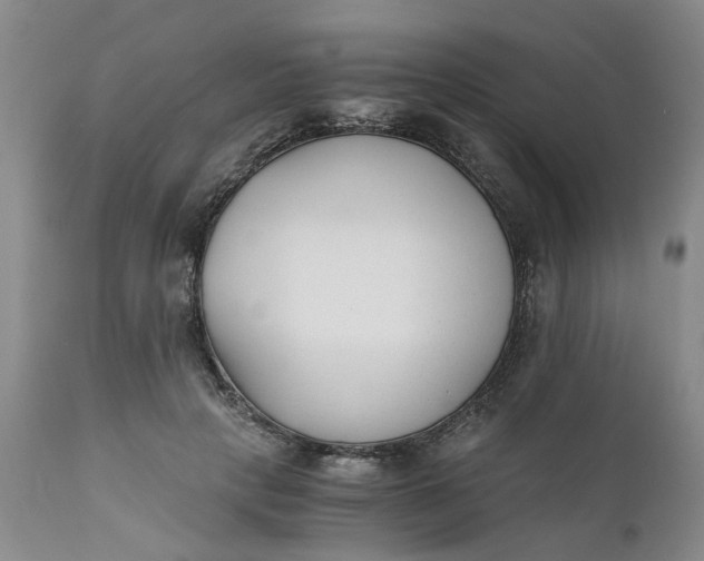 X0000110690649200906261345