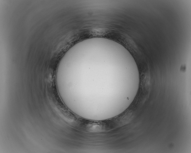 X0000110690655200906261345