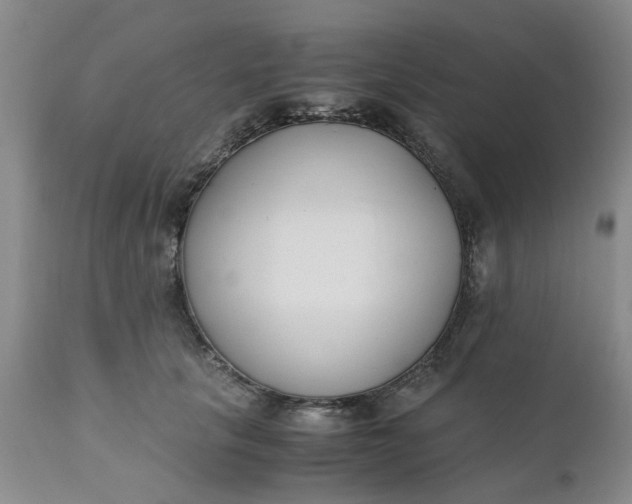 X0000110690657200906261345