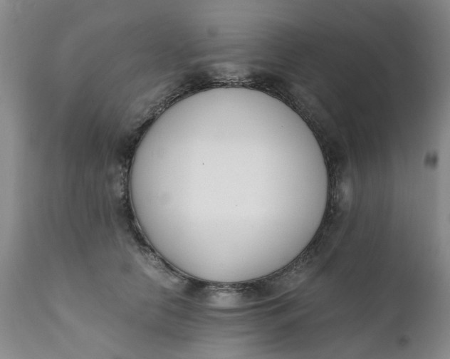 X0000110690658200906261345