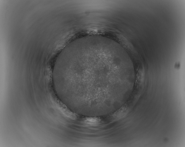 X0000110690659200906261345