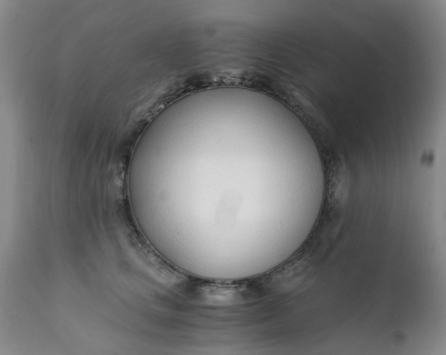 X0000110690661200906261345