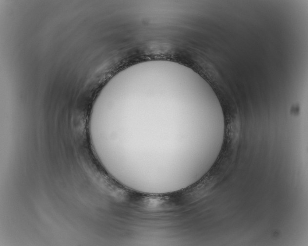 X0000110690662200906261345