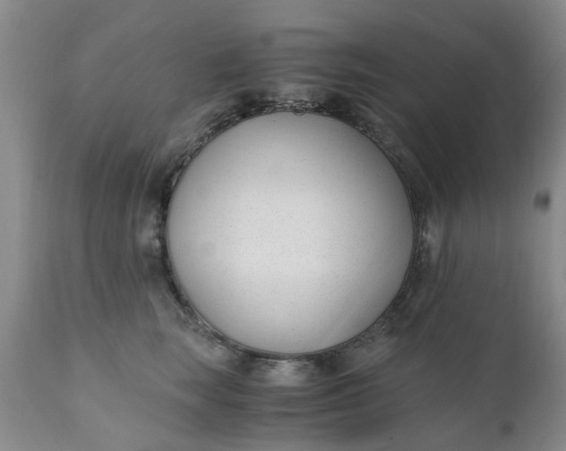 X0000110690663200906261345