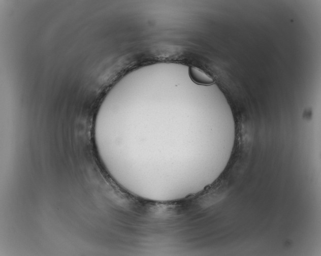 X0000110690664200906261345