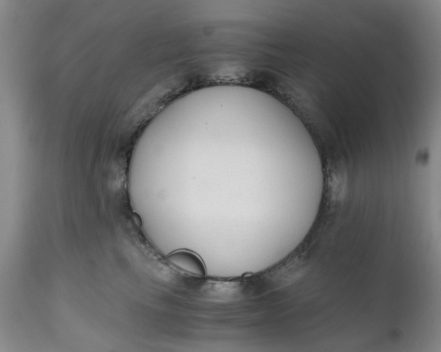 X0000110690665200906261345