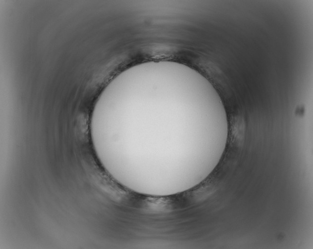 X0000110690667200906261345