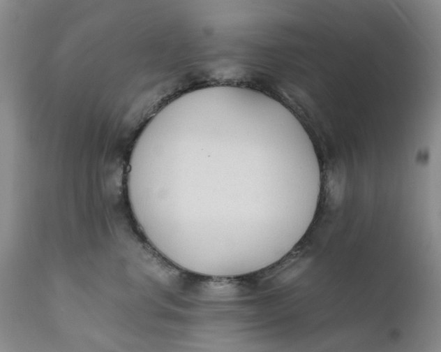 X0000110690668200906261345