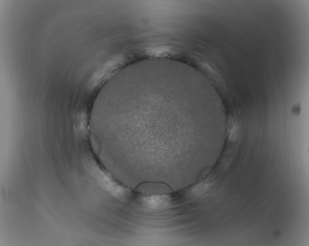 X0000110690670200906261345