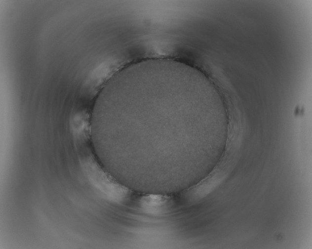 X0000110690672200906261345