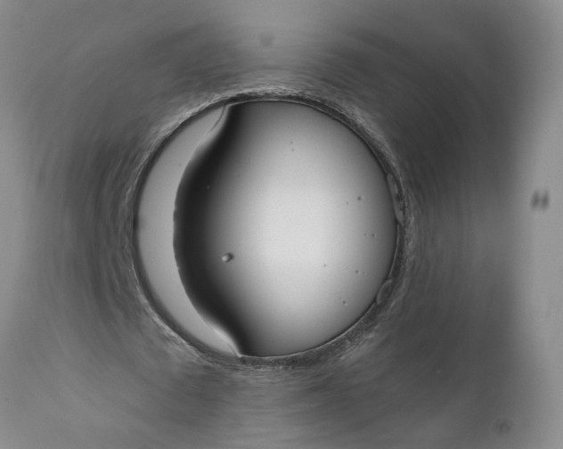 X0000110690673200906261344