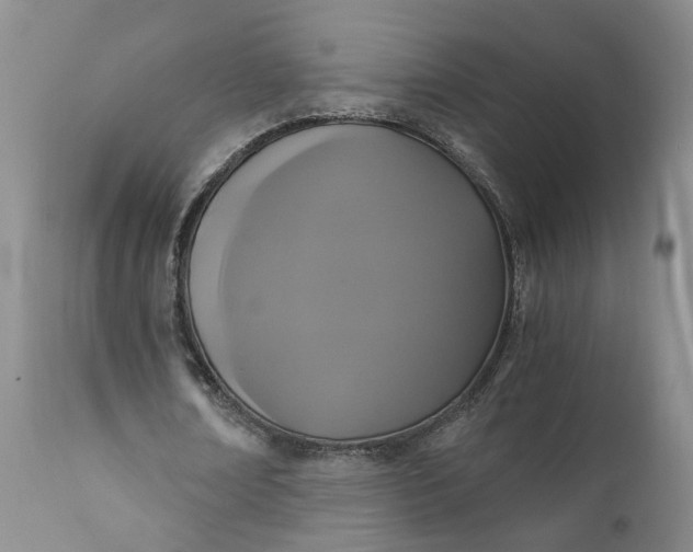 X0000110690674200906261344