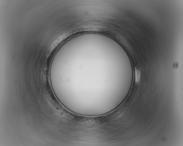 X0000110690675200906261344