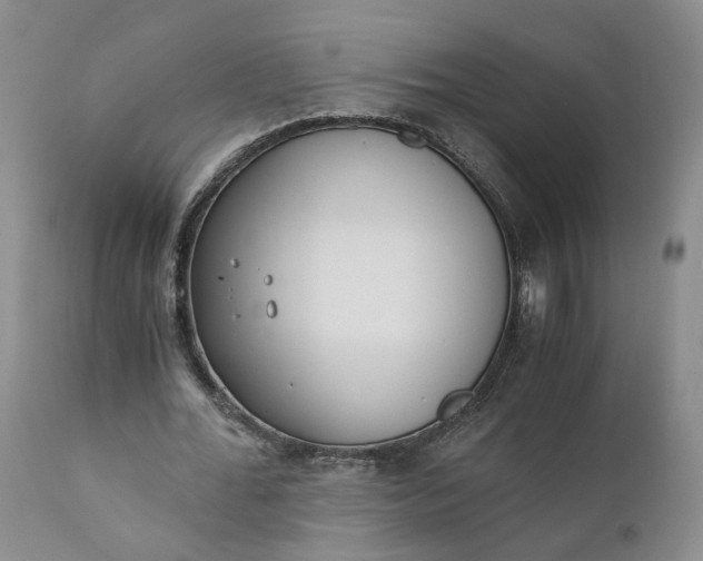 X0000110690676200906261344