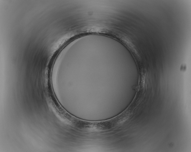 X0000110690678200906261344