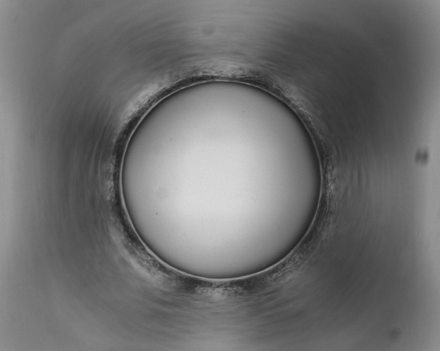 X0000110690679200906261344