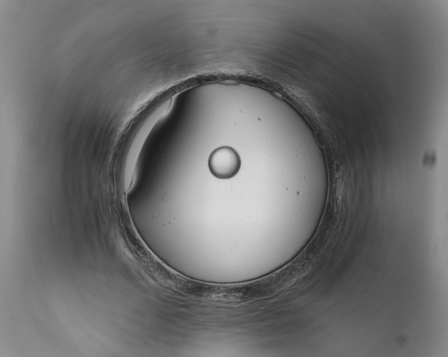 X0000110690680200906261344