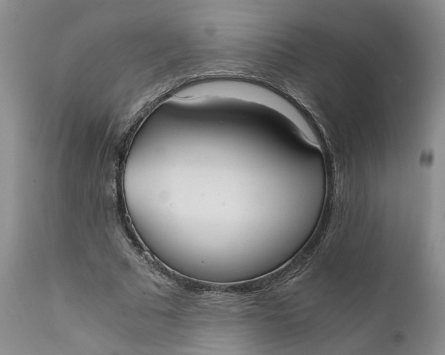 X0000110690681200906261344