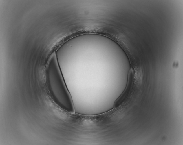 X0000110690684200906261344