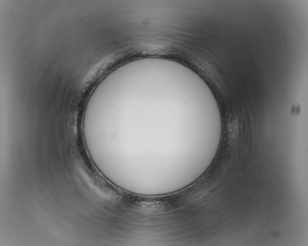 X0000110690686200906261344