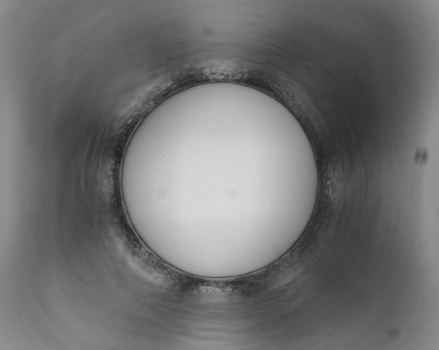 X0000110690690200906261344