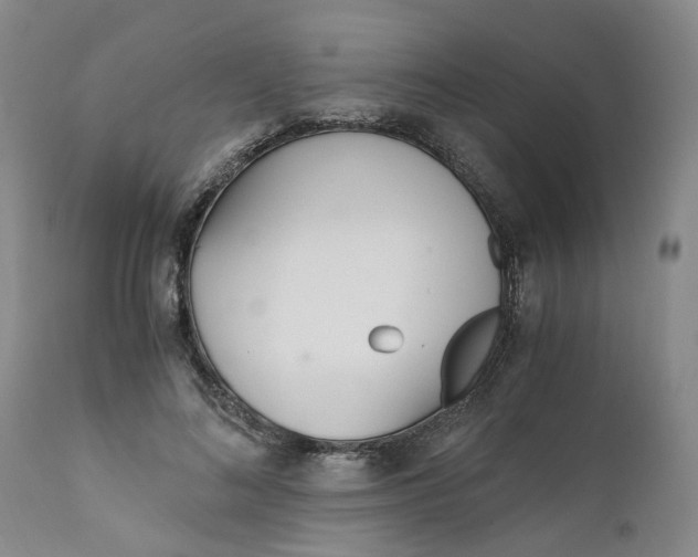 X0000110690692200906261344