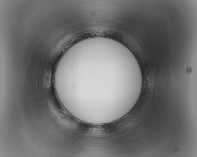 X0000110690694200906261344