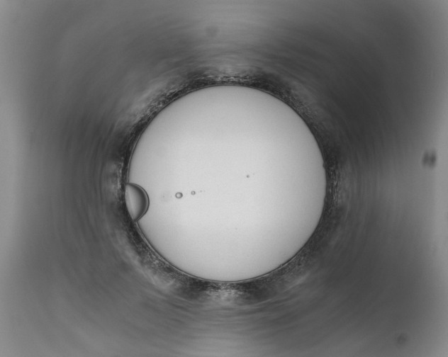 X0000110690695200906261344