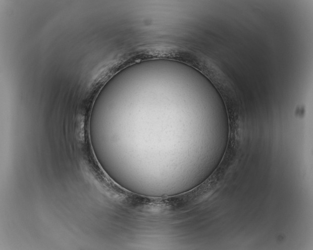 X0000110690696200906261344