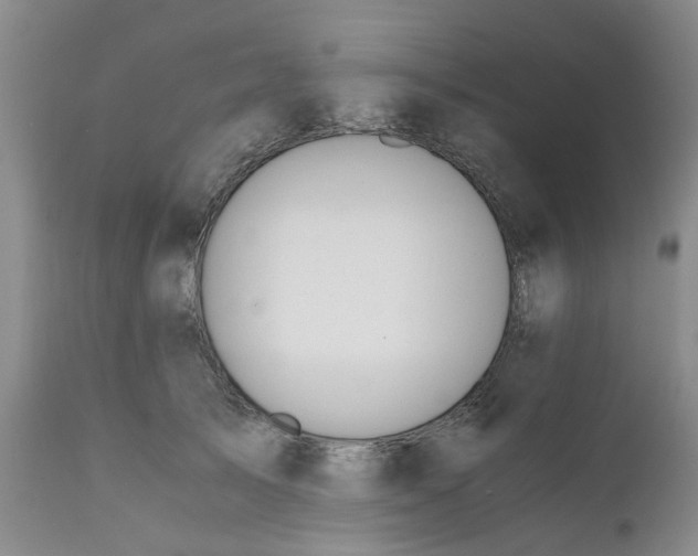 X0000110690705200906261344