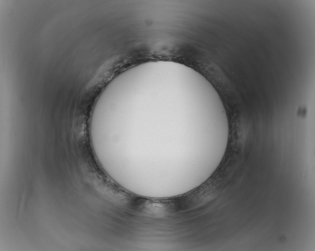 X0000110690706200906261344