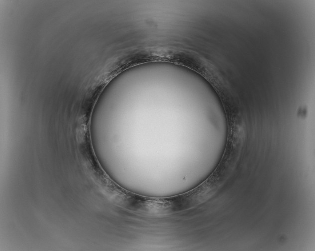 X0000110690707200906261344