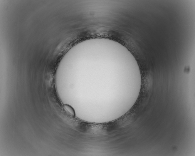 X0000110690709200906261344