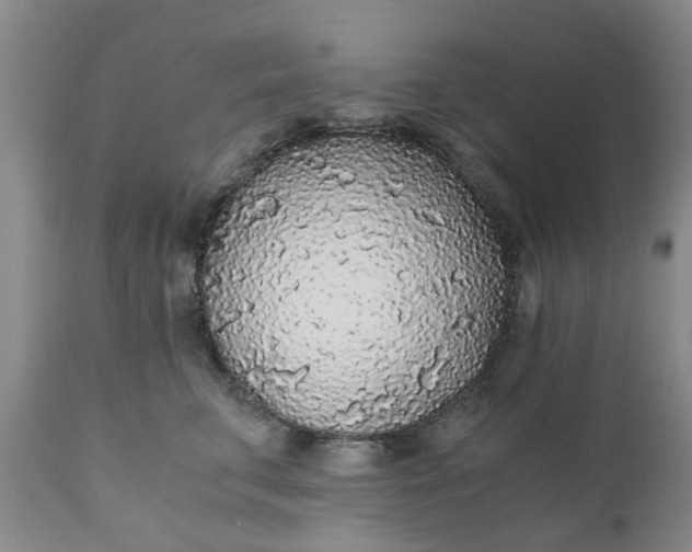 X0000110690711200906261344