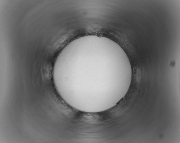 X0000110690712200906261344