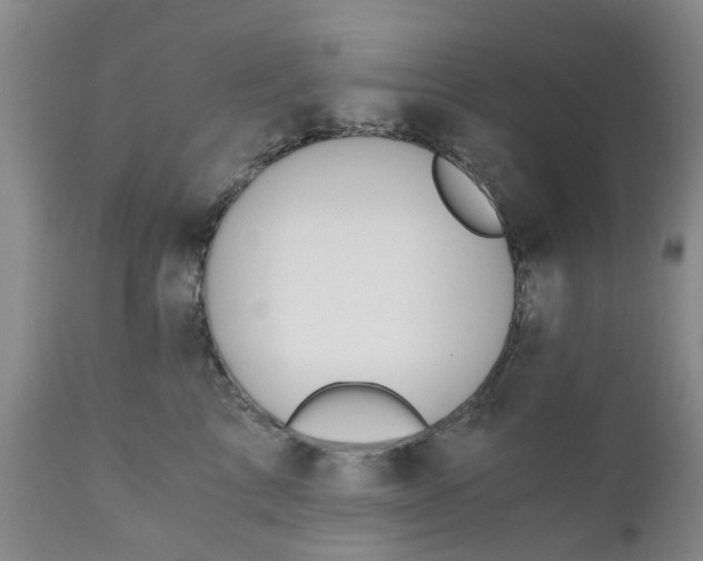 X0000110690713200906261344