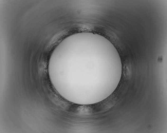 X0000110690714200906261344