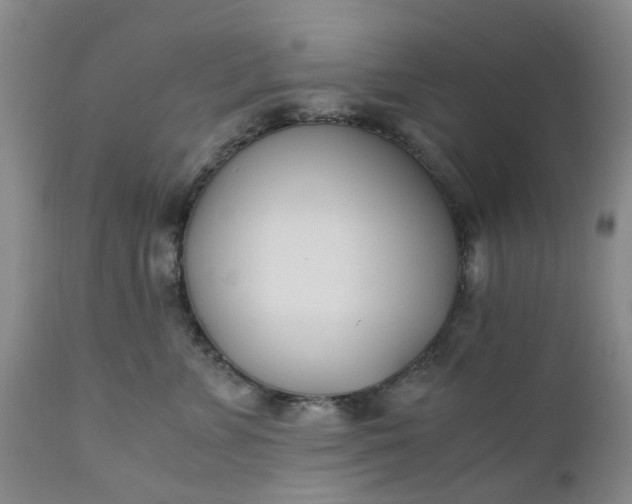 X0000110690715200906261344