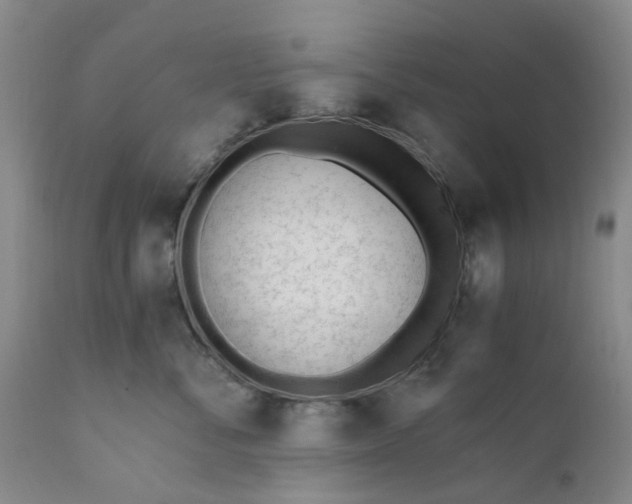 X0000110690716200906261344