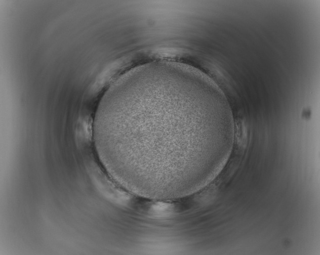 X0000110690718200906261344