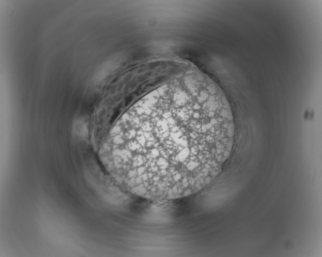 X0000110690720200906261344