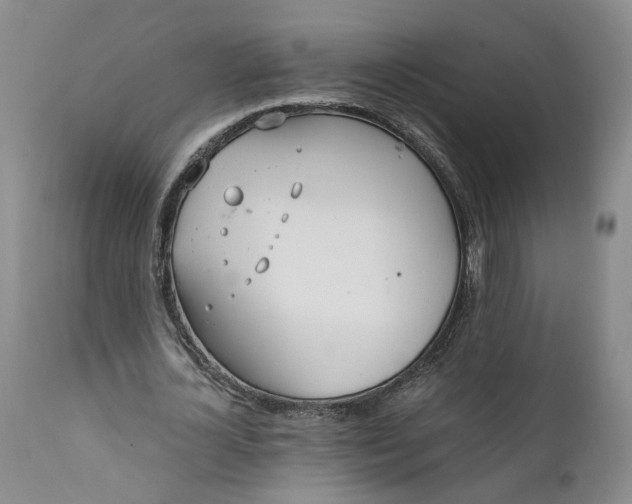 X0000110690724200906261343