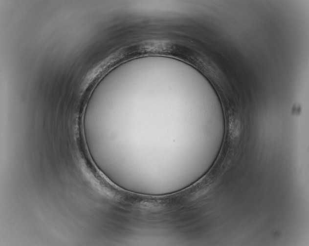 X0000110690725200906261343