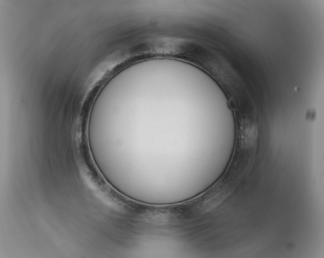 X0000110690726200906261343