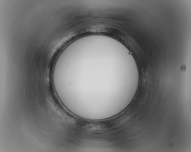 X0000110690727200906261343