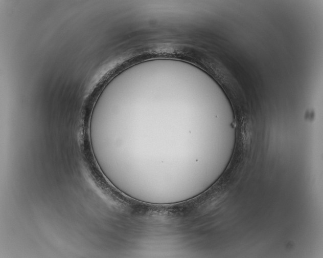 X0000110690728200906261343